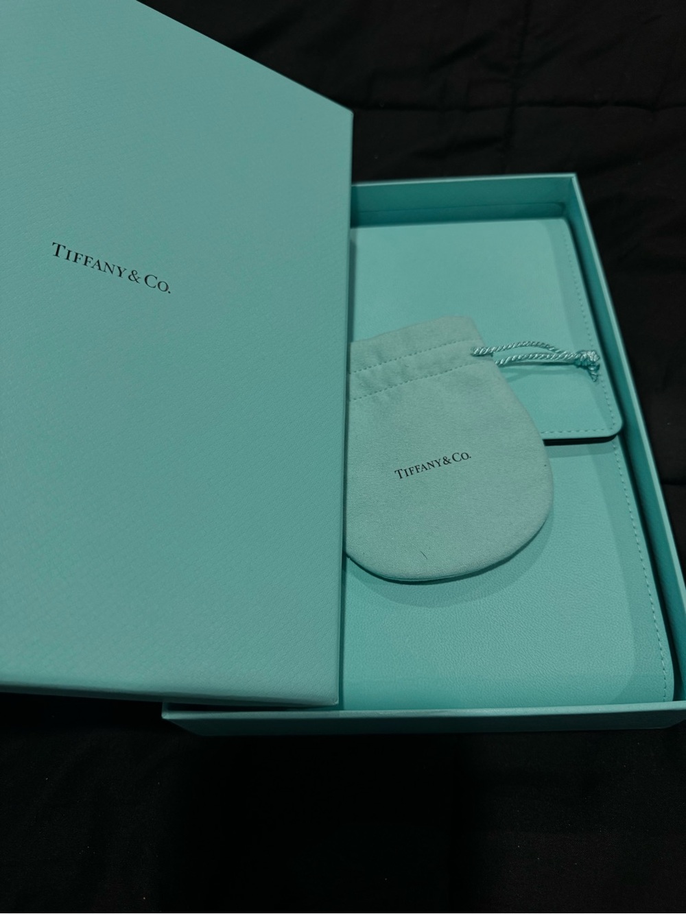 Tiffany & Co. Necklace